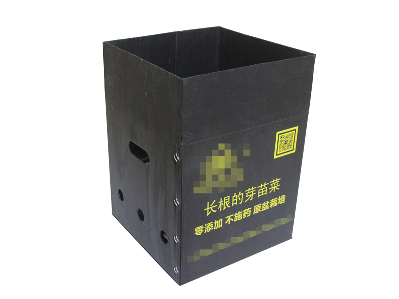 中空板周轉(zhuǎn)箱  中空板周轉(zhuǎn)箱