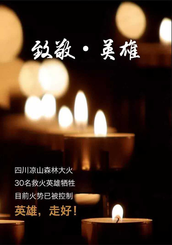 中空板 中空板